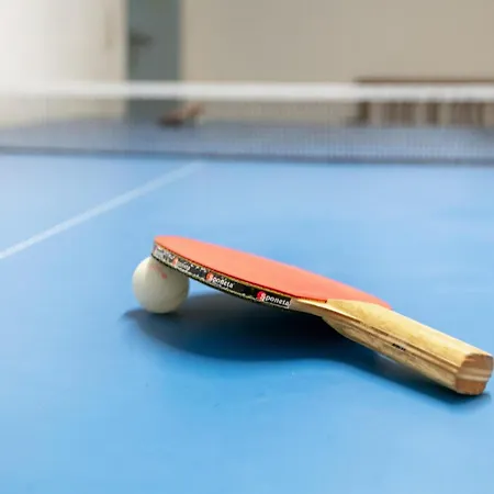 Appartement Schleicherhof I