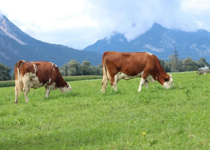 Appartement Schleicherhof I