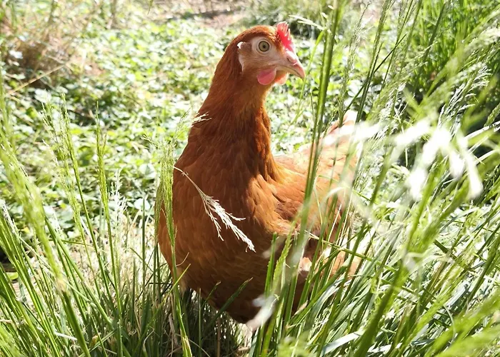 Apartmán Schleicherhof I *