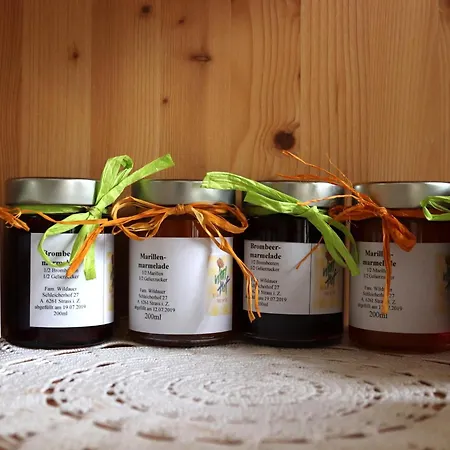 公寓 Schleicherhof I 齐勒谷地施特拉斯